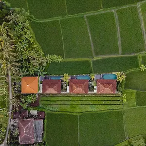 Airsania Antique Ubud (Bali)